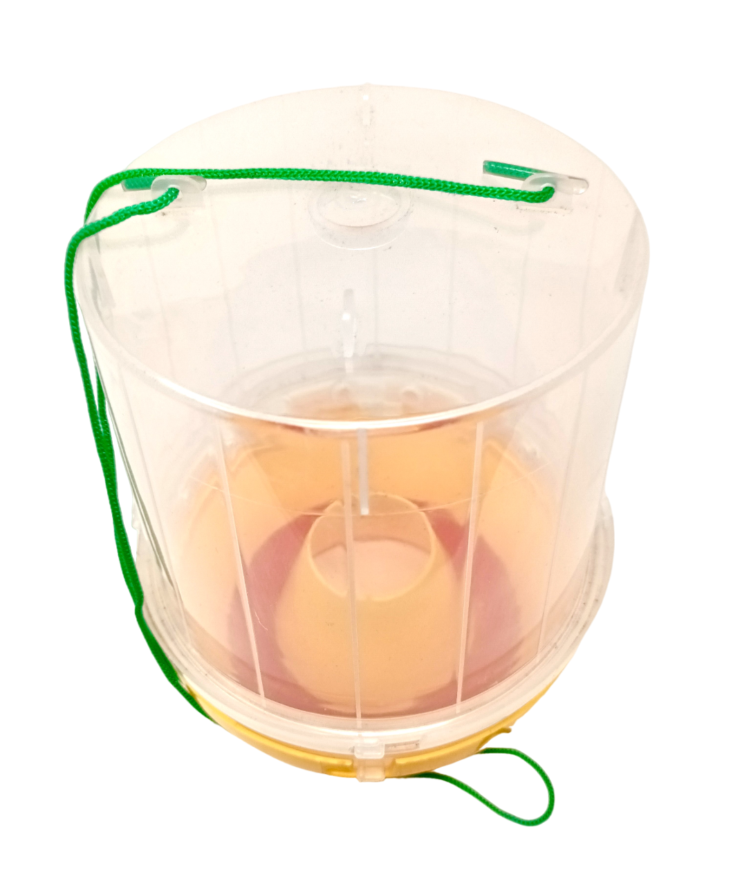 Wasp Trap With Attractant