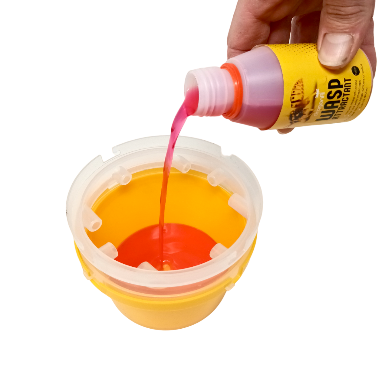 Wasp Trap With Attractant