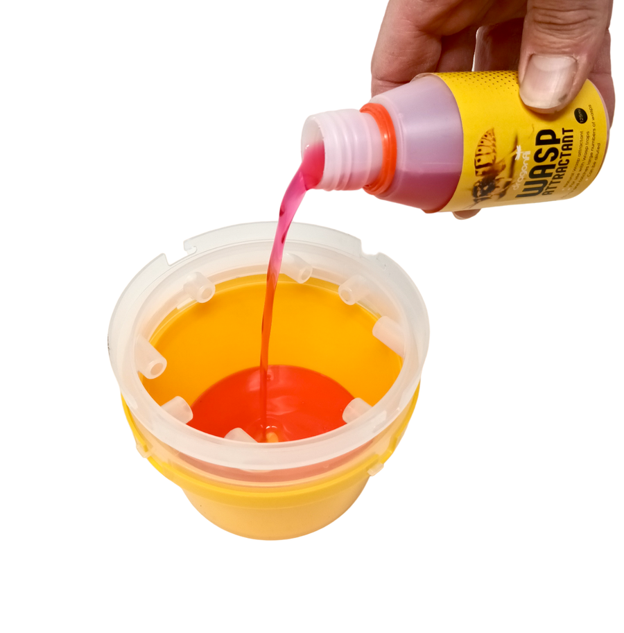 Wasp Attractant - For Use In Dragonfli Wasp Traps