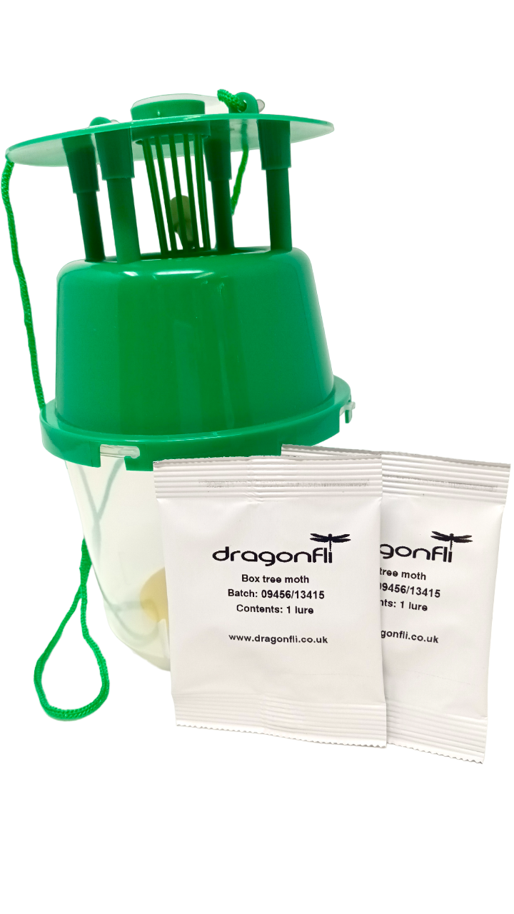 Box Tree Moth Pheromone Trap