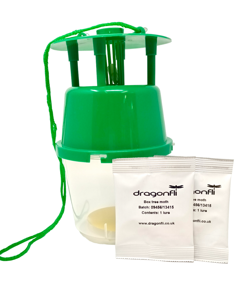 Box Tree Insecticide Box Tree Moth Control & Recovery Bundle - Dragonfli