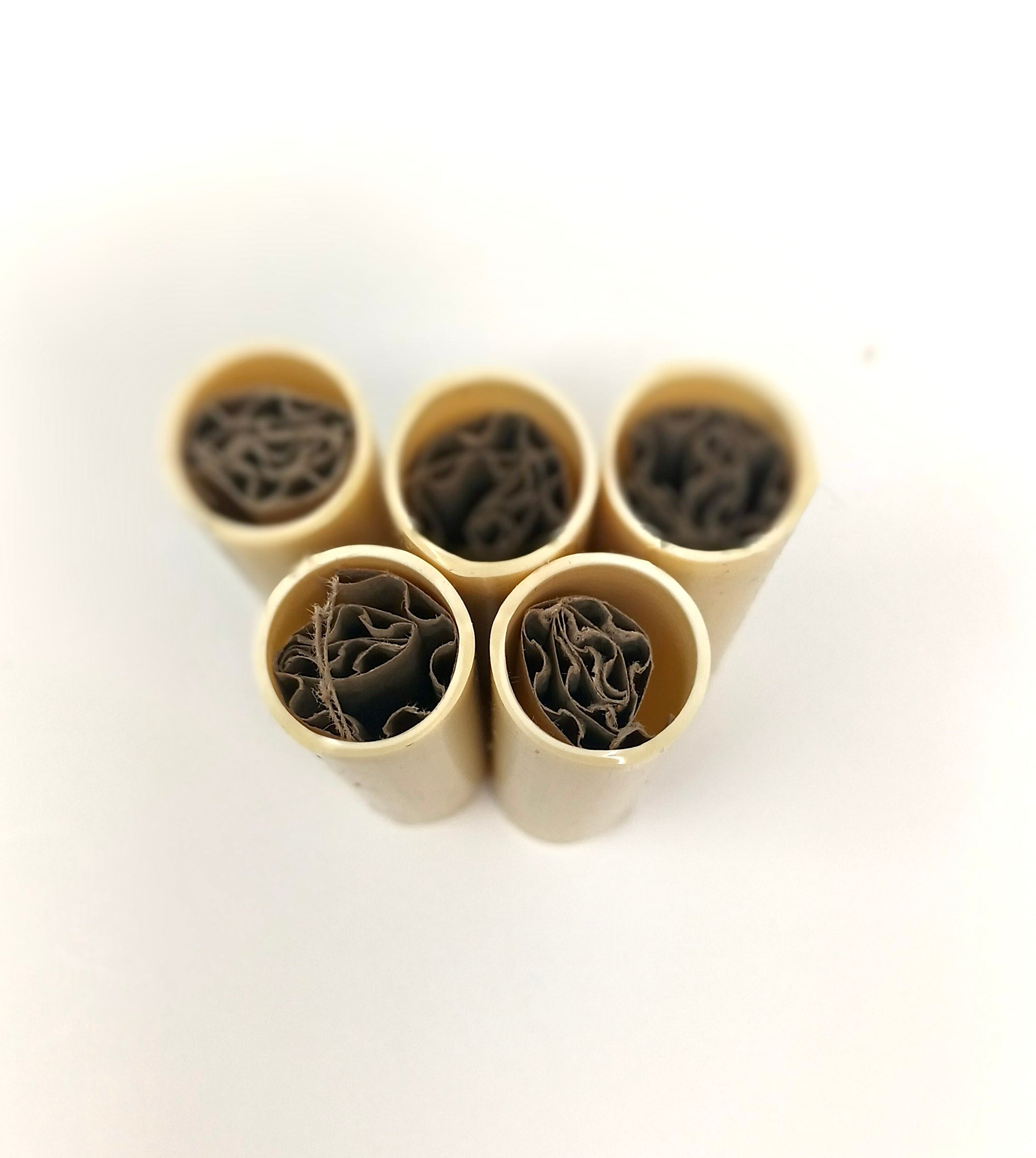 Red Mite Trap / Red Mite Detection System - Protect Birds & Poultry (Pack of 5)