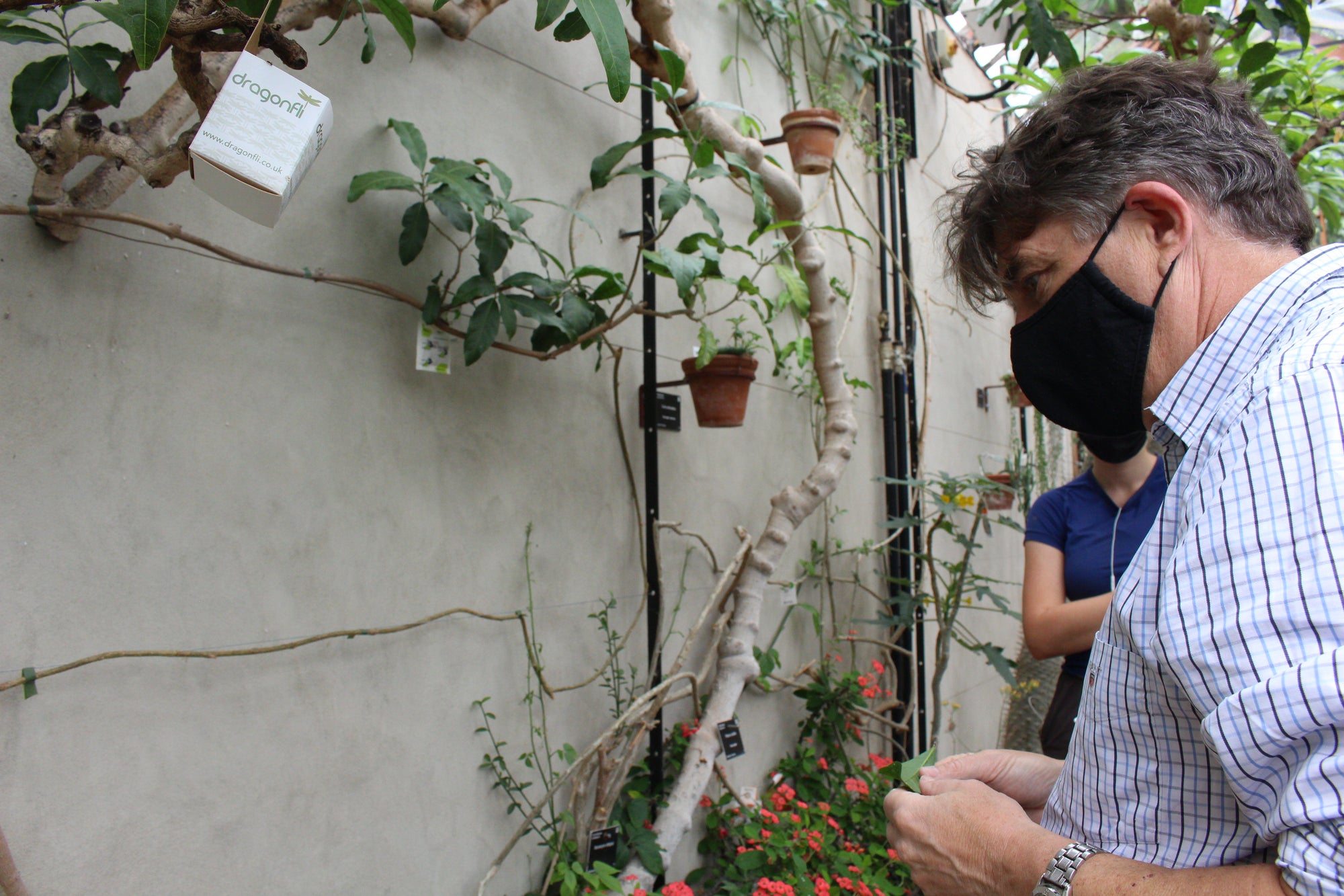 Distribution Box - Easily Apply Your Natural Predators, Hang From Plants