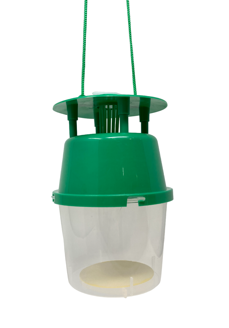 Box Tree Moth Pheromone Trap