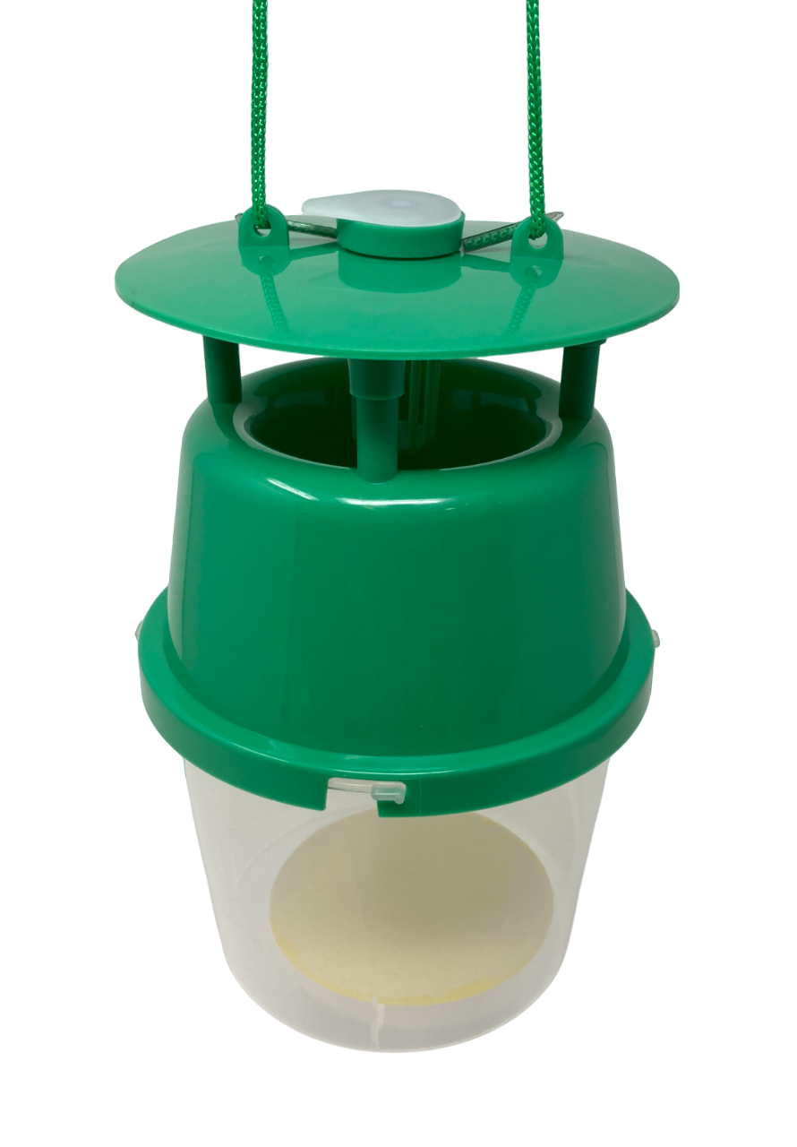 Box Tree Moth Pheromone Trap