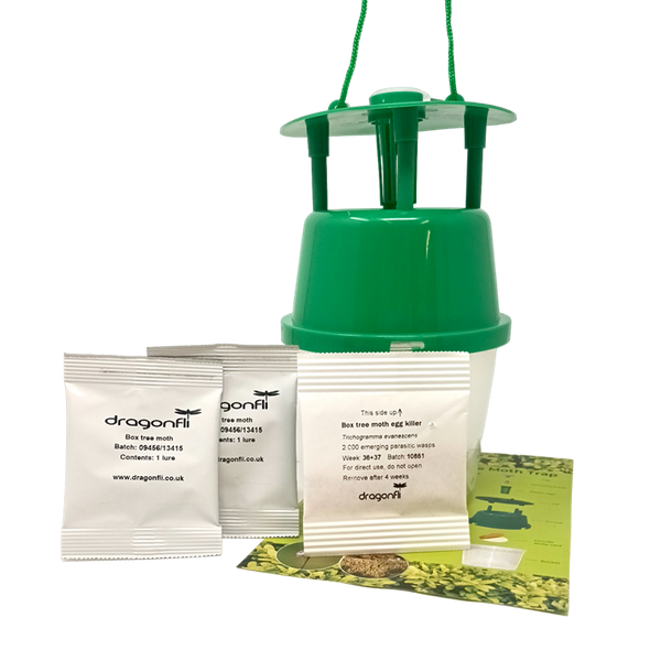 Box Tree Moth Trap & Box Tree Moth Egg Killer Sachet Bundle Dragonfli