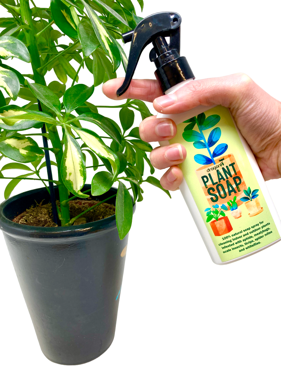 Dragonfli Plant Soap