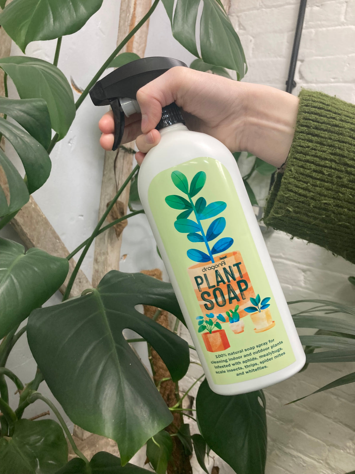 plant soap for indoor plants Dragonfli Plant Soap