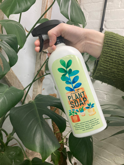 Dragonfli Plant Soap