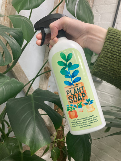 Dragonfli Plant Soap