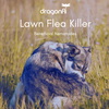 Lawn Flea Killer Nematodes