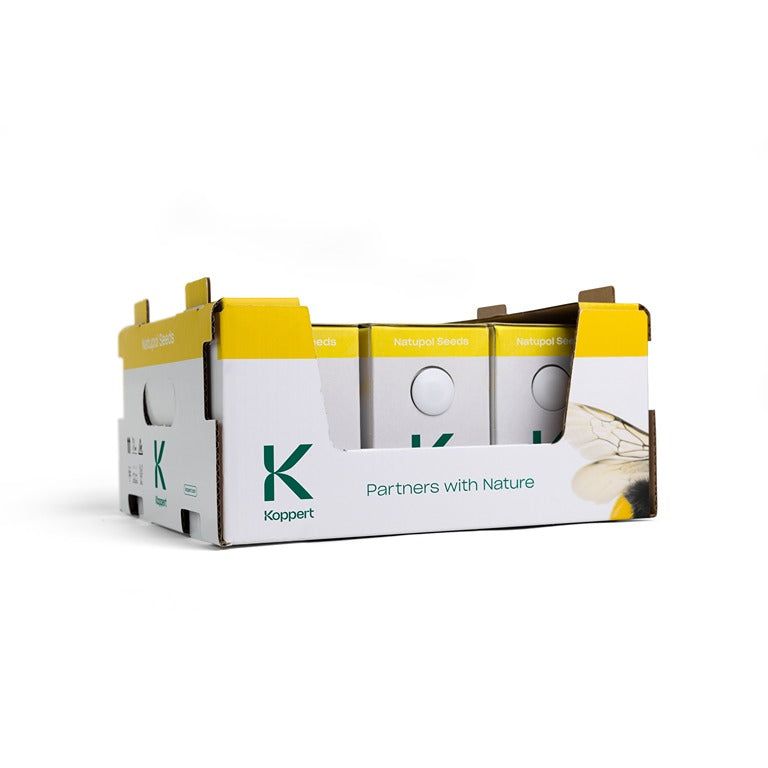 Live Pocket-Sized Bumblebee Hives - Available To Order Now For Spring & Summer 2025 (Select Your Preferred Delivery Date)