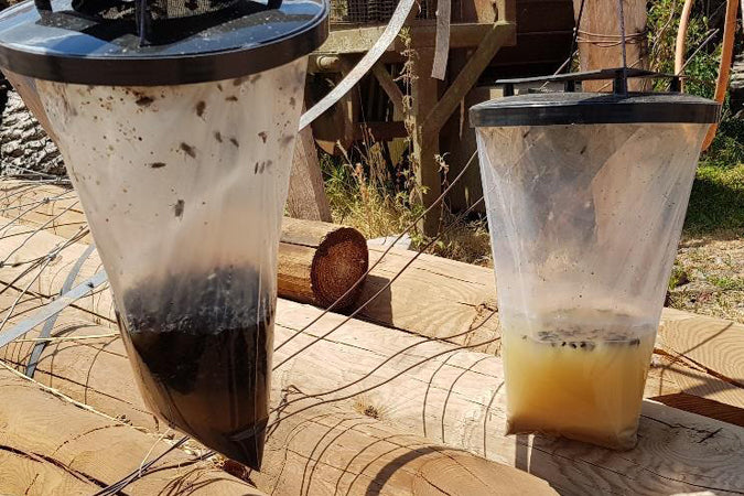 House Fly Trap & Attractant - Kills Common Bluebottle, Greenbottle Flies