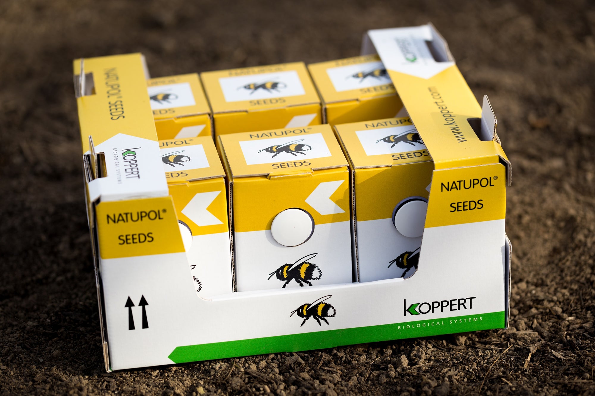 Live Pocket-Sized Bumblebee Hives - Available To Order Now For Spring & Summer 2025 (Select Your Preferred Delivery Date)