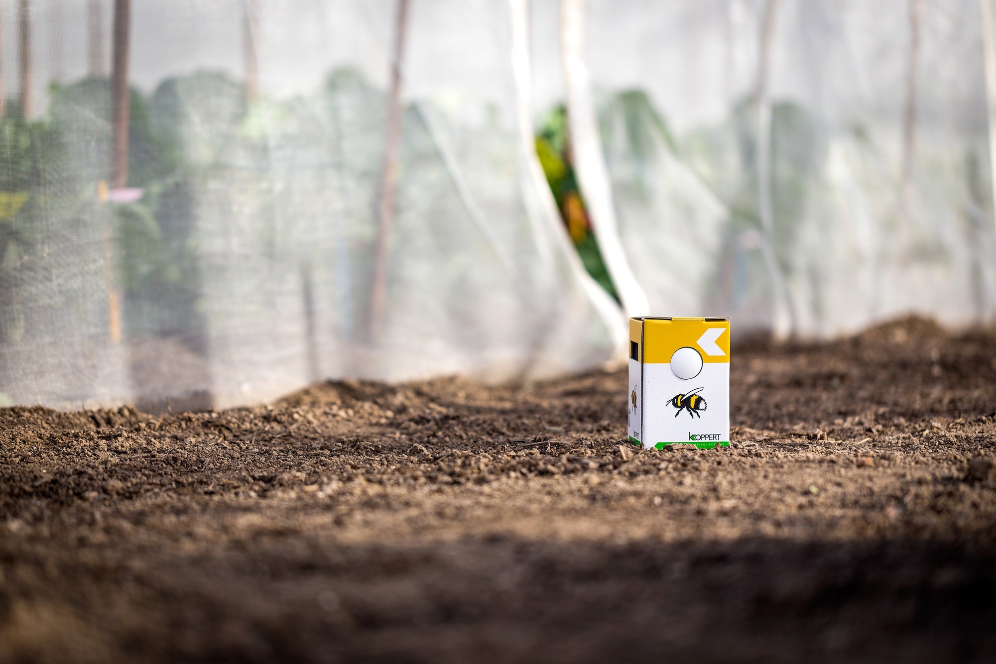 Live Pocket-Sized Bumblebee Hives - Available To Order Now For Spring & Summer 2025 (Select Your Preferred Delivery Date)