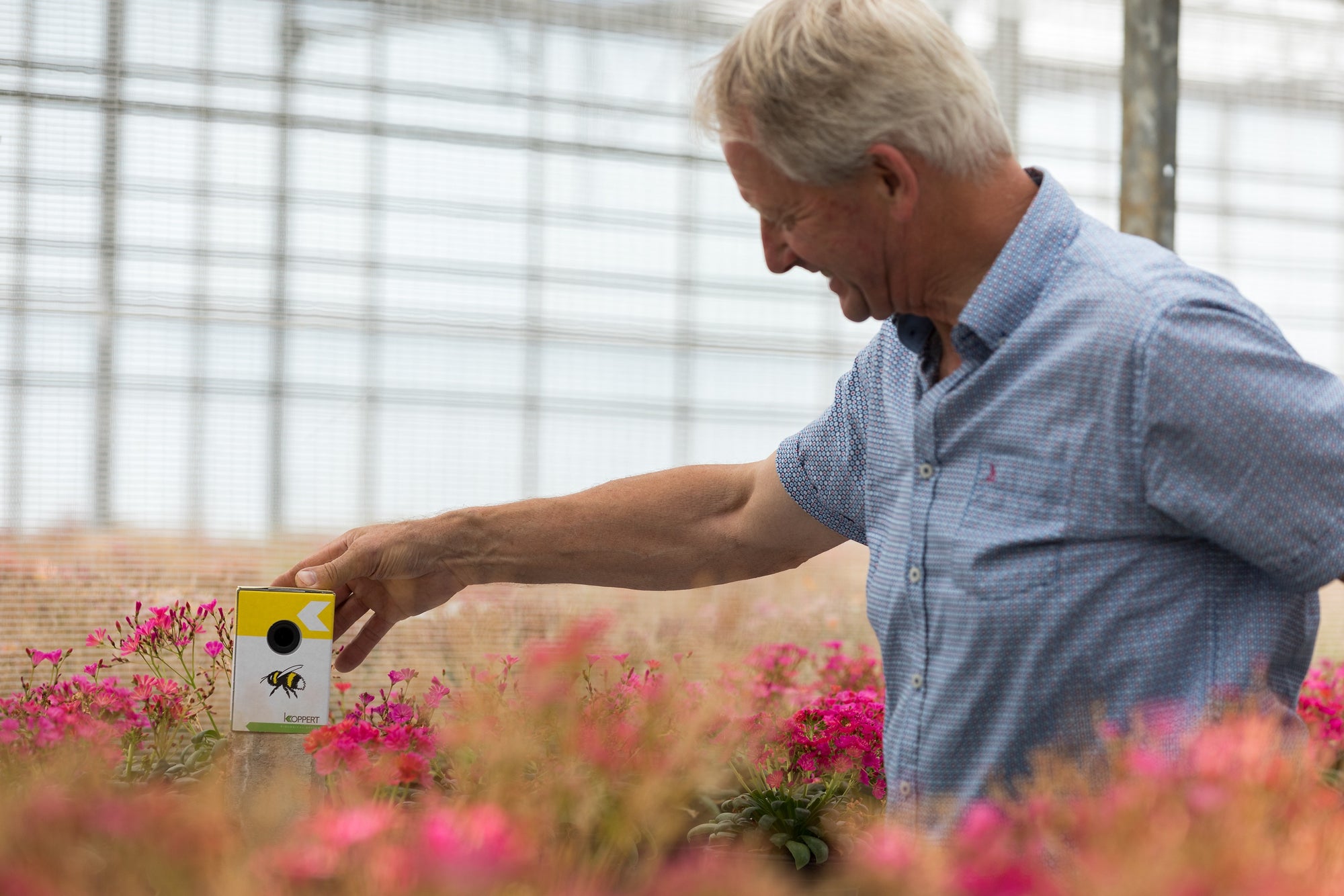 Live Pocket-Sized Bumblebee Hives - Available To Order Now For Spring & Summer 2025 (Select Your Preferred Delivery Date)