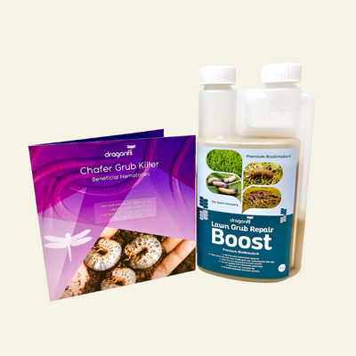 Chafer Grub Control & Recovery Bundle: Chafer Grub Killer Nematodes + Lawn Grub Repair Boost