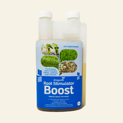 Root Stimulator Boost