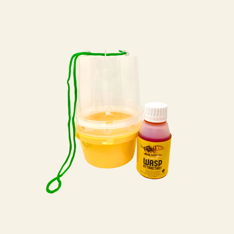 Wasp Trap With Attractant