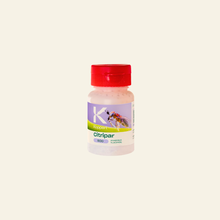 Citripar Mealybug Killer