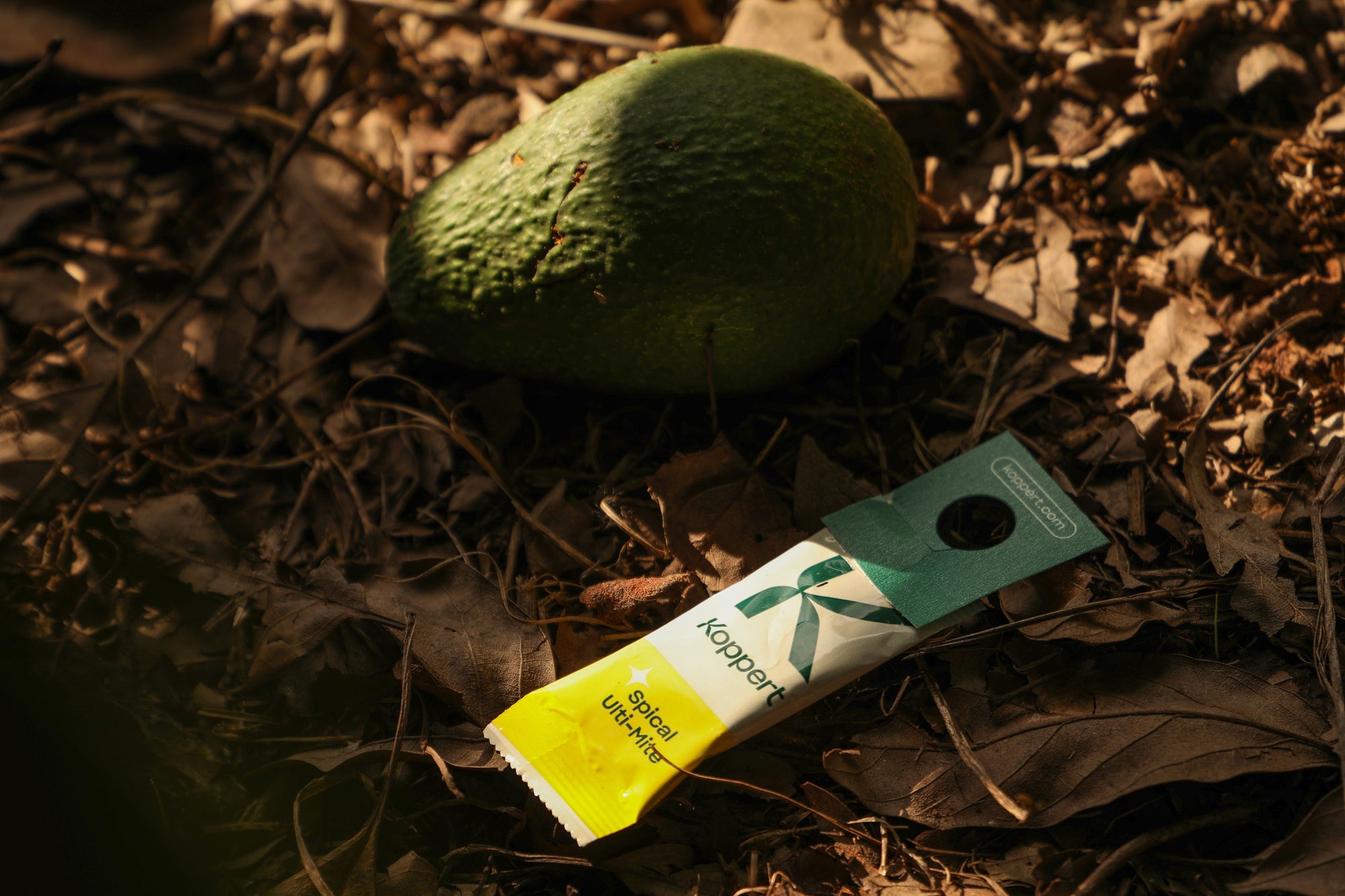 Amblyseius californicus - Foil Sachets - Spider Mite Preventative System