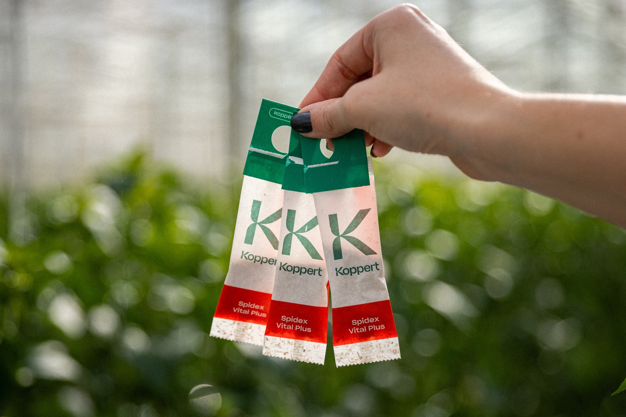 Spidex Vital Plus - Curative Spider Mite Control Sachets