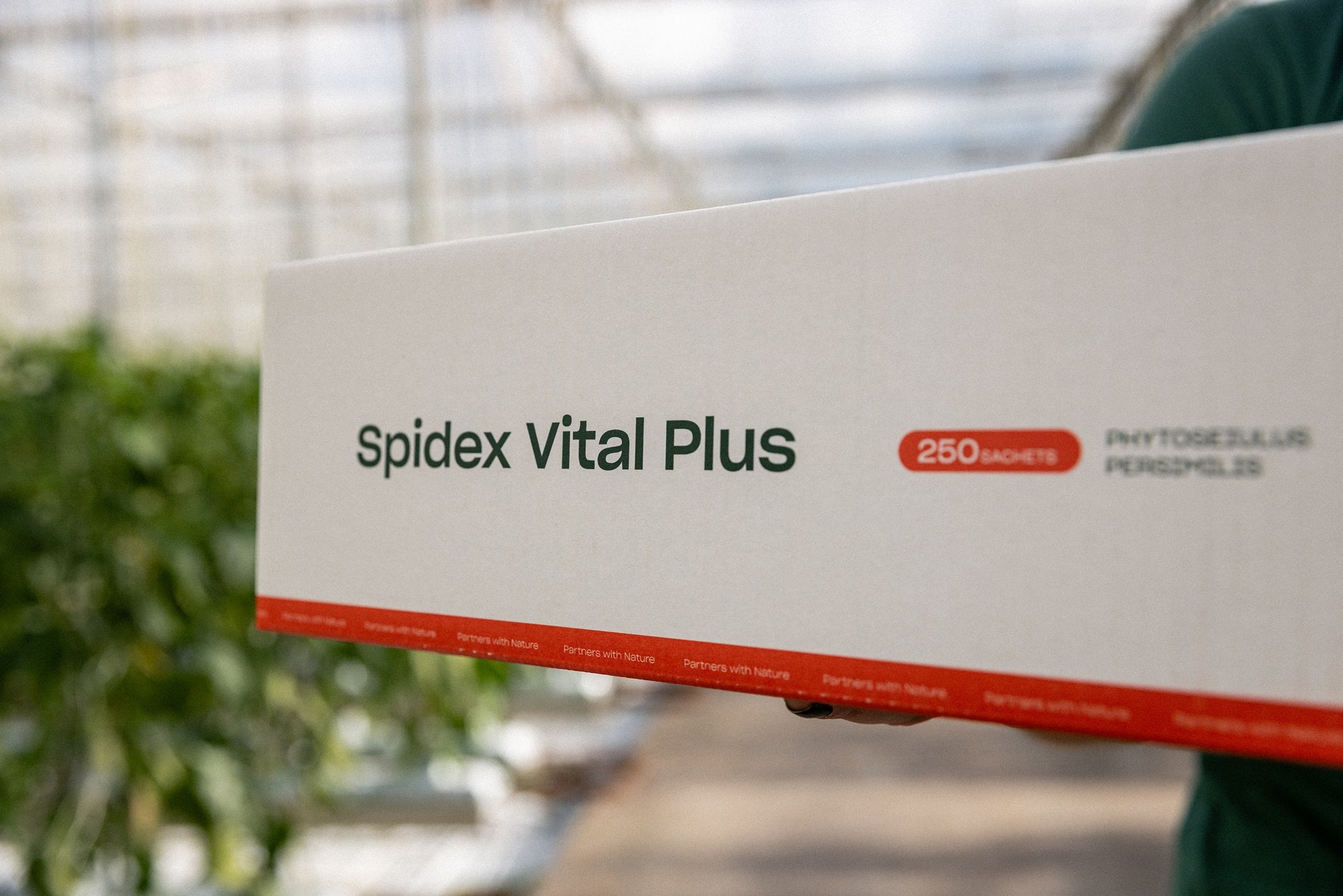 Spidex Vital Plus - Curative Spider Mite Control Sachets