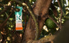 Amblyseius swirskii - Foil Sachets - Thrip Preventative System