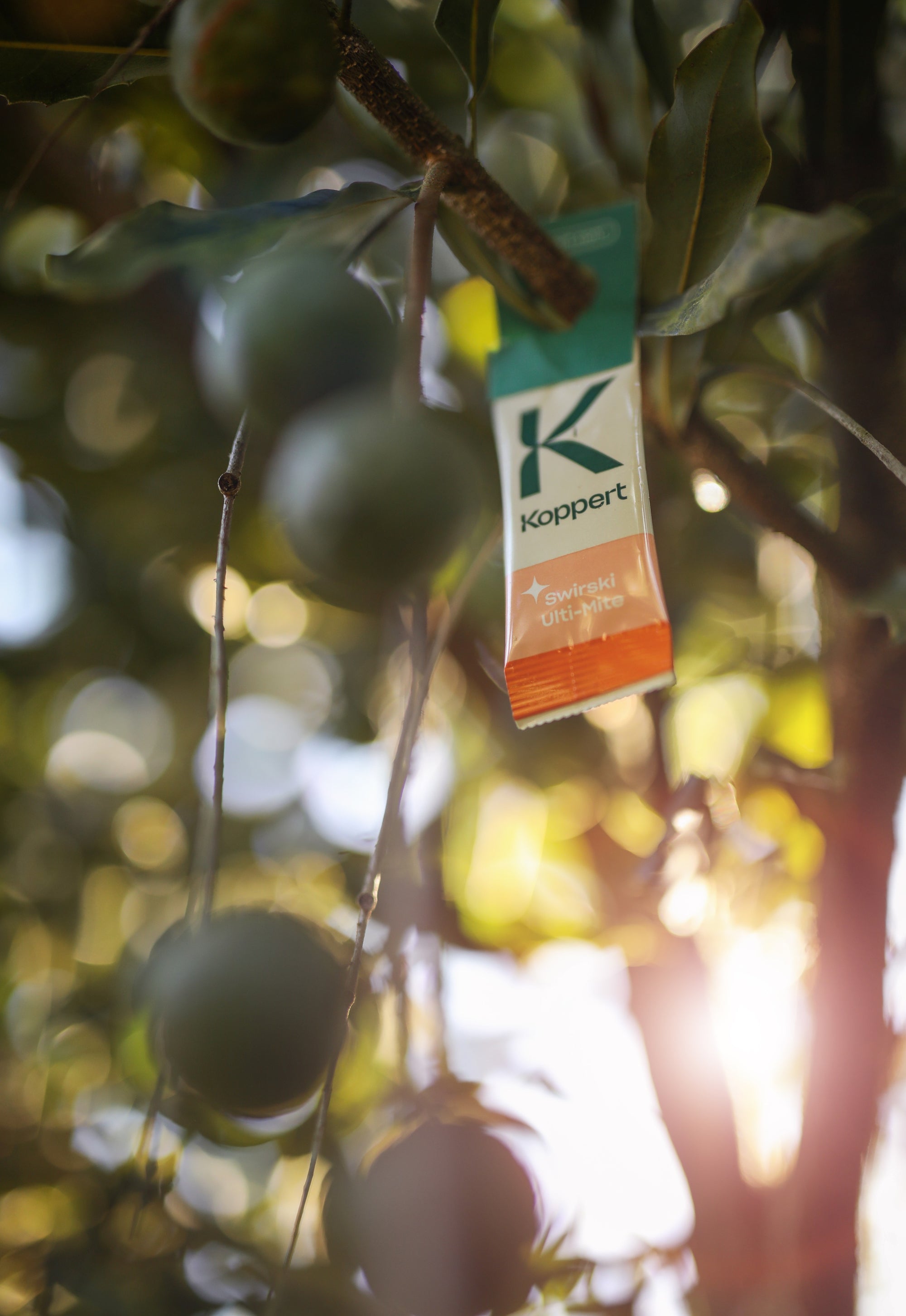 Amblyseius swirskii - Foil Sachets - Thrip Preventative System