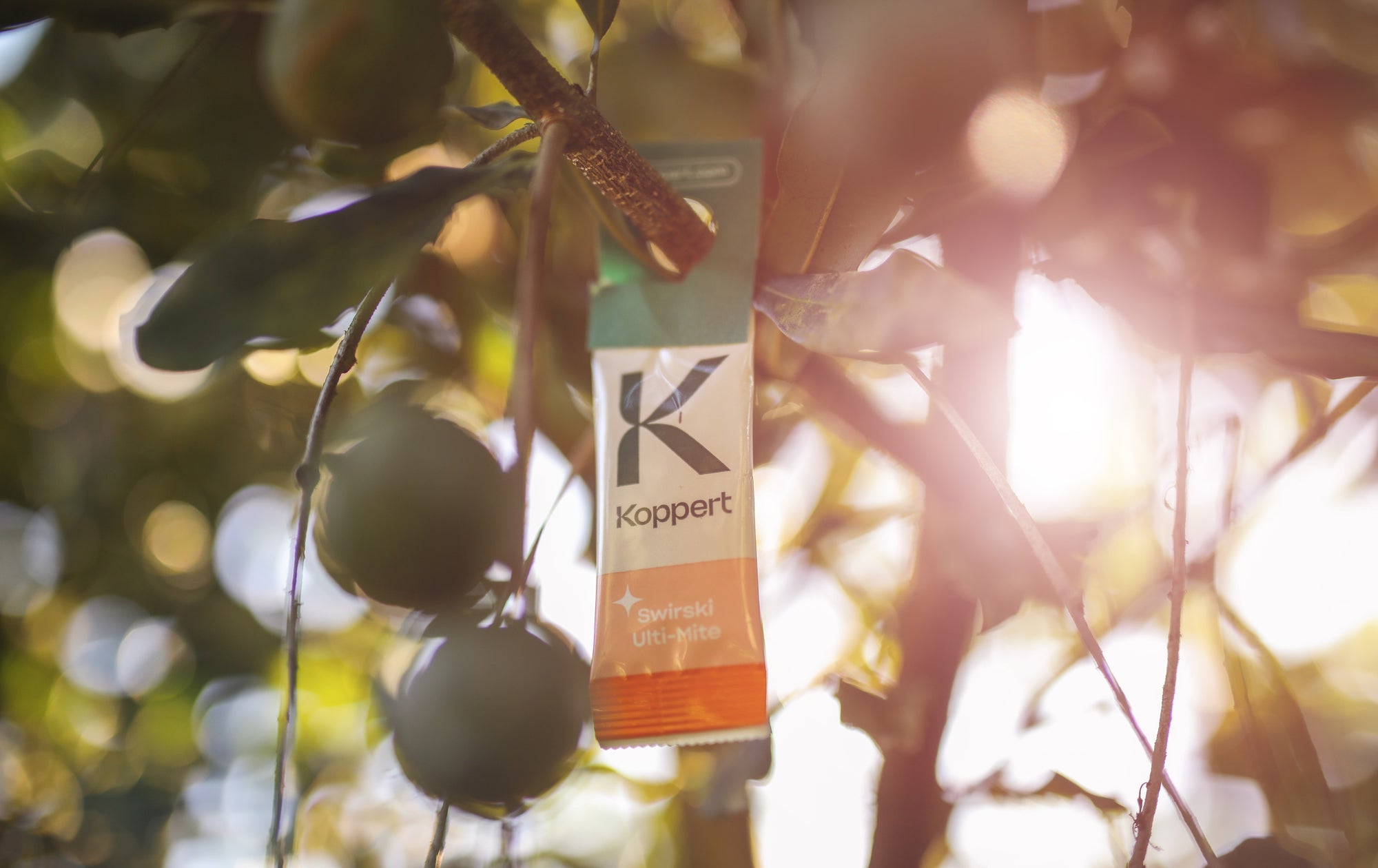 Amblyseius swirskii - Foil Sachets - Thrip Preventative System