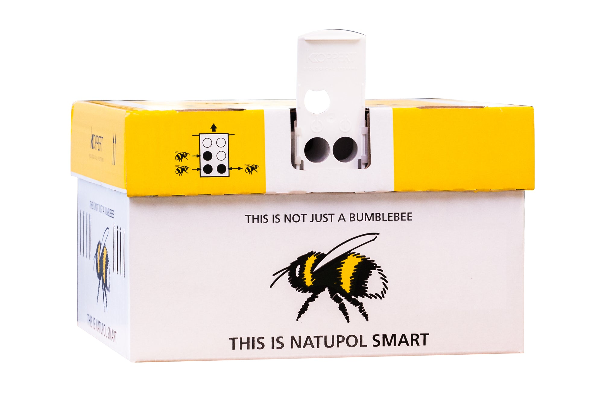 Gift Voucher For Live Bumblebee Colonies Or Pocket-Sized Hives - A Perfect Gift For Gardener's - Deliveries Available Across Spring & Summer 2025