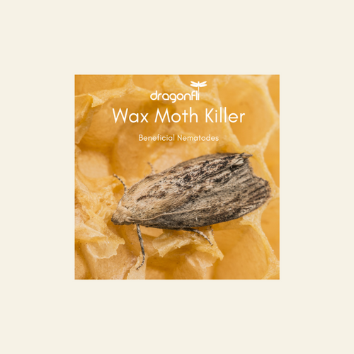 Wax Moth Killer Nematodes