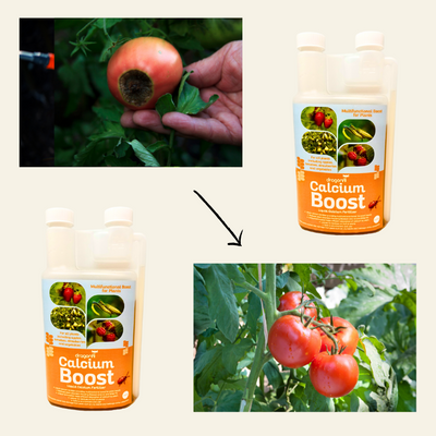 Calcium Boost - Liquid Calcium Fertilizer