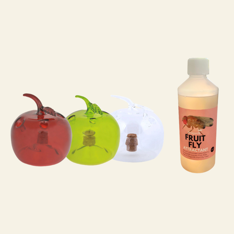 Apple Shaped Fruit Fly Traps (Supplied With Attractant) - For Indoor Use
