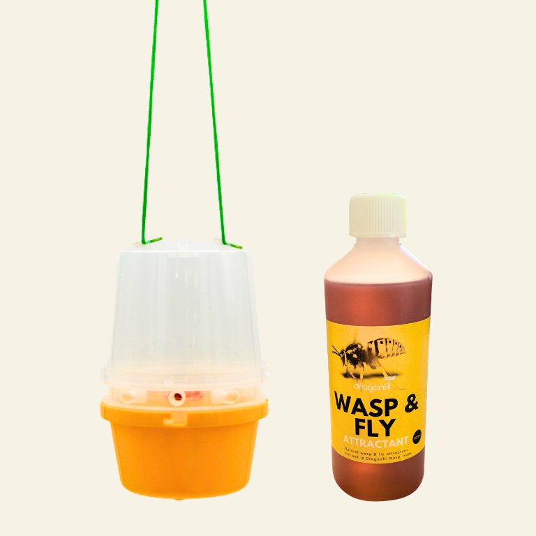 Wasp & Fly Trap (With Attractant)