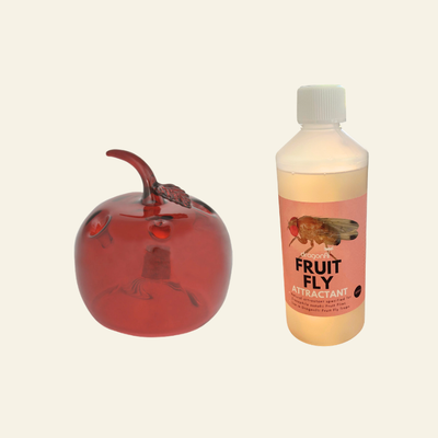 Apple Shaped Fruit Fly Traps (Supplied With Attractant) - For Indoor Use