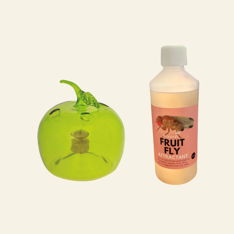 Apple Shaped Fruit Fly Traps (Supplied With Attractant) - For Indoor Use