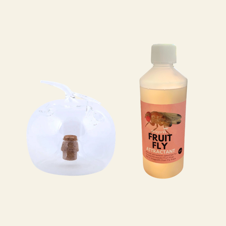 Apple Shaped Fruit Fly Traps (Supplied With Attractant) - For Indoor Use