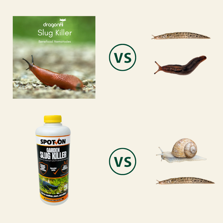 Natural Slug & Snail Killer Bundle: Nematodes & Organic Pellets