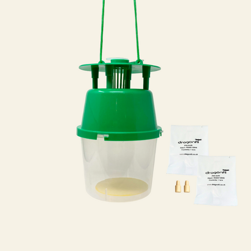 Pea Moth Pheromone Trap
