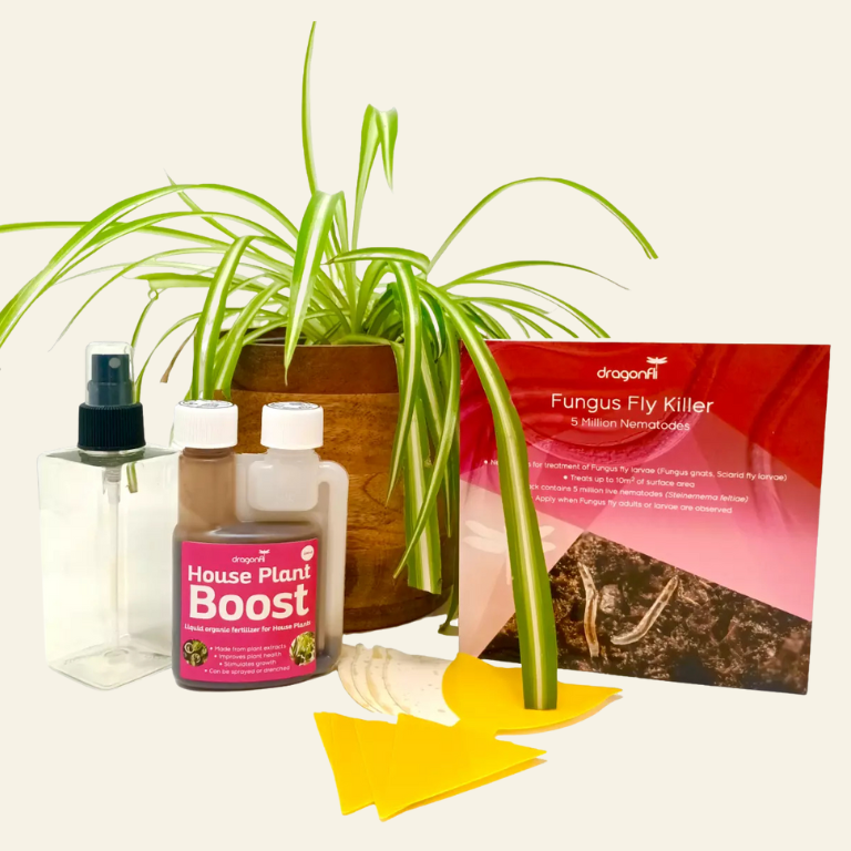 House Plant Care Bundle: Fungus Fly Nematodes, Sticky Traps, House Plant Boost, Plant Soap & A Free House Plant Mister