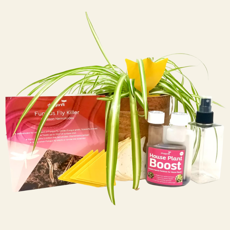 House Plant Care Bundle: Fungus Fly Nematodes, Sticky Traps, House Plant Boost, Plant Soap & A Free House Plant Mister