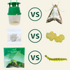 Box Tree Moth Life Cycle Control Bundle: Attack Moths, Caterpillars & Eggs Simultaneously