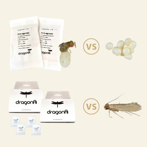 Clothes Moth Killer Mixed Bundle: 2 Trichogramma Sachets (As Seen On TV!) & 2 Pheromone Traps