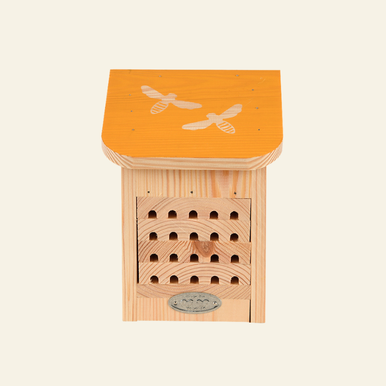 Dragonfli Bee House