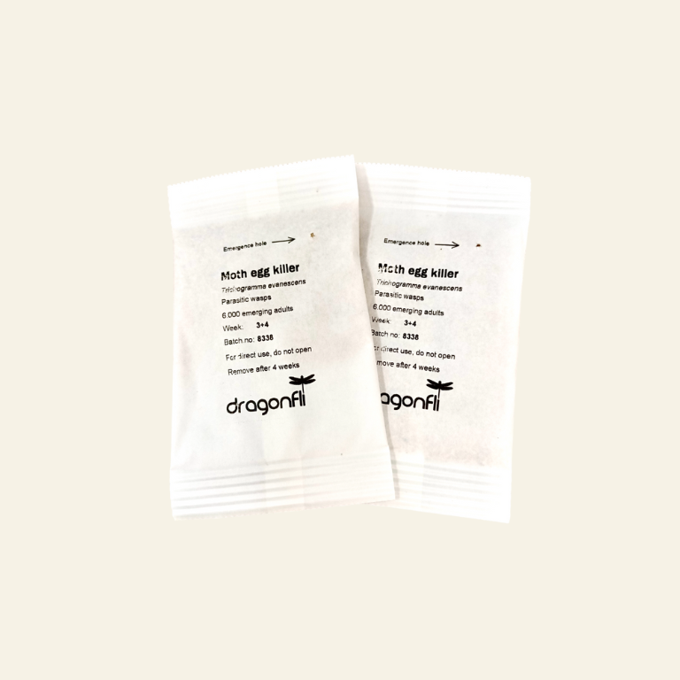 Clothes Moth Egg Killer Sachet (Trichogramma Parasitic Wasps, As Seen On TV!) - Ready To Use, Simply Place In Wardrobes & Other Infestation Hotspots