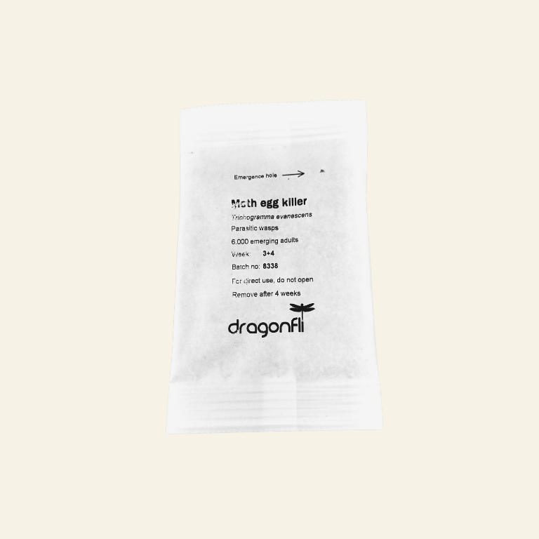 Clothes Moth Egg Killer Sachet (Trichogramma Parasitic Wasps, As Seen On TV!) - Ready To Use, Simply Place In Wardrobes & Other Infestation Hotspots