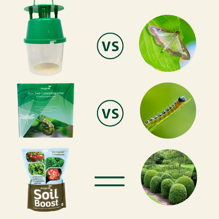 Box Tree Moth Control & Recovery Bundle