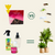 House Plant Care Bundle: Fungus Fly Nematodes, Sticky Traps, House Plant Boost, Plant Soap & A Free House Plant Mister