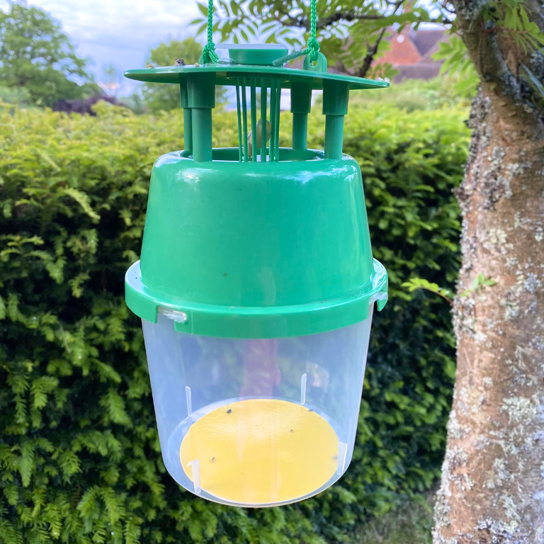 Pea Moth Pheromone Trap